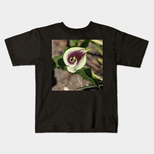 Calla Lily From the Top Photographic Image Kids T-Shirt by AustaArt